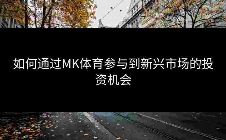 如何通过MK体育参与到新兴市场的投资机会