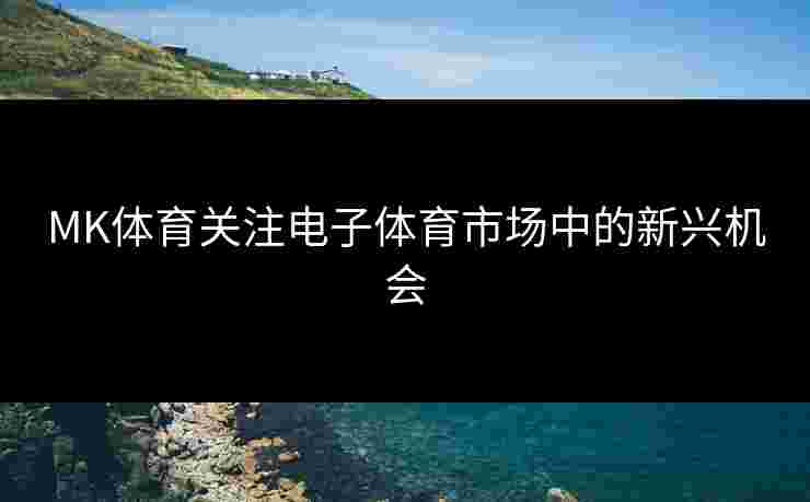 MK体育关注电子体育市场中的新兴机会